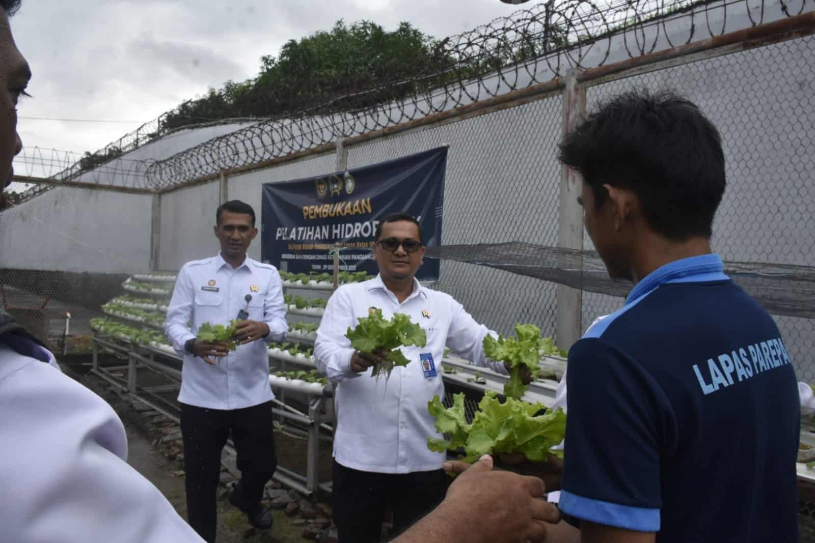 Hasil panen warga binaan Lapas Parepare diapresiasi Kanwil Ditjenpas Lapas Sulsel