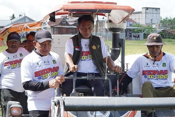 Bupati Sidrap Syaharuddin Alrif mengendarai traktor pertanian saat panen IP300