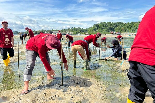 Pertamina Patra Niaga Sulawesi menanam 1.000 bibit mangrove di pesisir Kota Kendari dalam rangka menjaga ekosistem alam