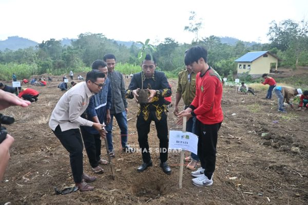 Bupati dan Wabup Sidrap Tanam Alpukat di Desa Lombo
