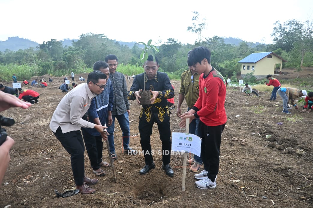 Bupati dan Wabup Sidrap Tanam Alpukat di Desa Lombo