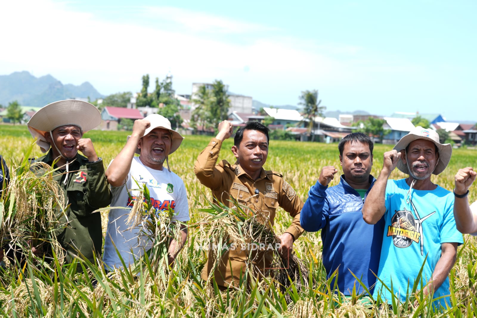 Bupati Sidrap Syaharuddin Alrif pimpin panen raya padi musim tanam 1 di Kelurahan Lautang Benteng