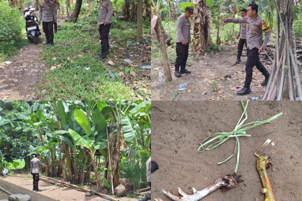 Aparat Kepolisian Sektor (Polsek) Suppa tengah melakukan penyelidikan terkait dugaan praktik judi sabung ayam yang meresahkan warga di wilayah Kecamatan Suppa, Kabupaten Pinrang